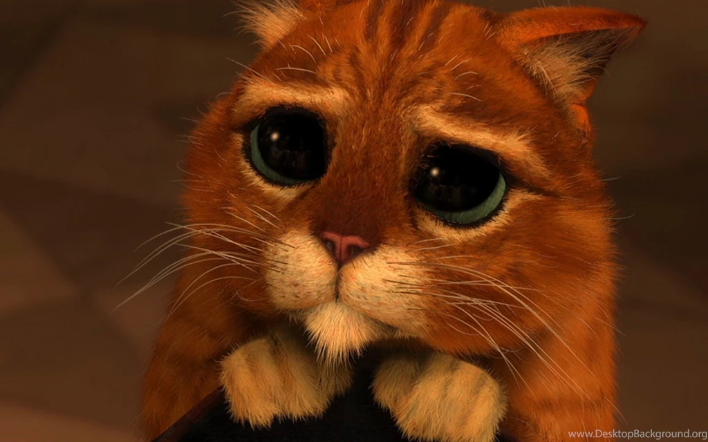 Puss In Boots Anime Movie Desktop Wallpapers 14   1440x900 ...