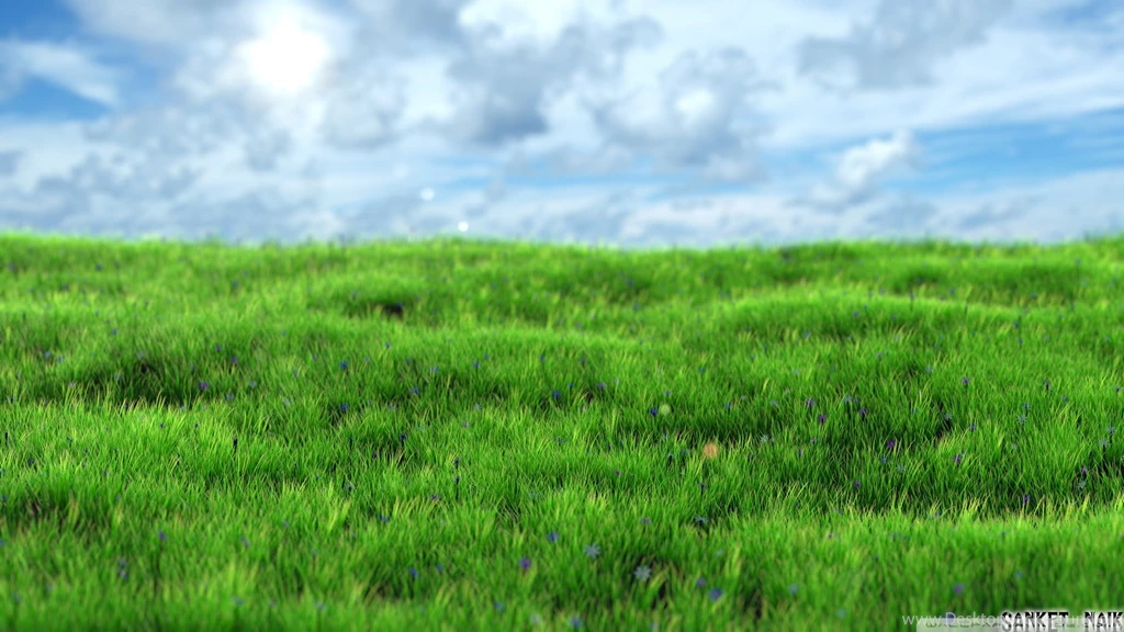Realistic Grass HD Desktop Wallpapers : Widescreen : High ...