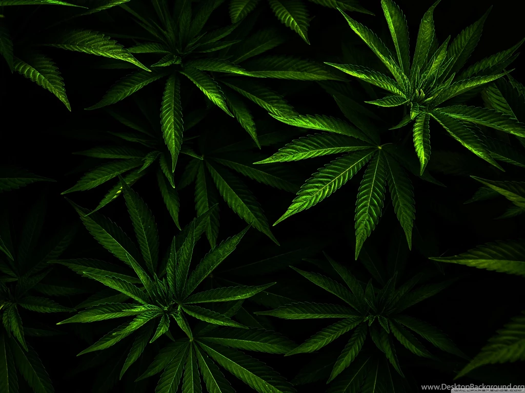 Weed HD Desktop Wallpapers : Widescreen : High Definition ...
