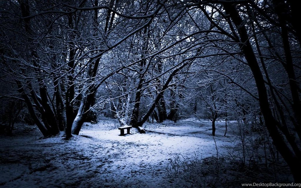 Winter Night Desktop Wallpapers ~ Toptenpack.com