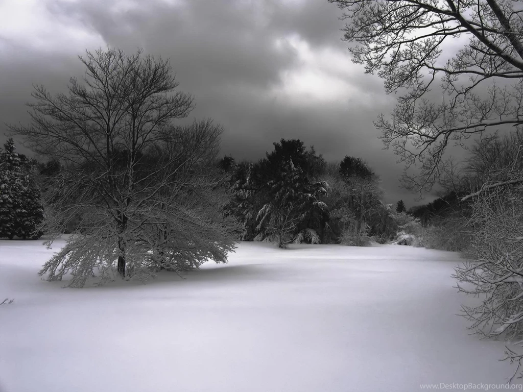 Desktop Wallpapers · Gallery · Nature · Winter Night