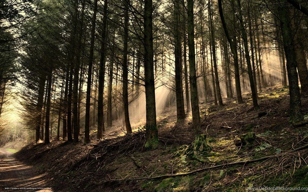 Beautiful Sunrays Wallpapers [Wallpapers Wednesday]   Hongkiat