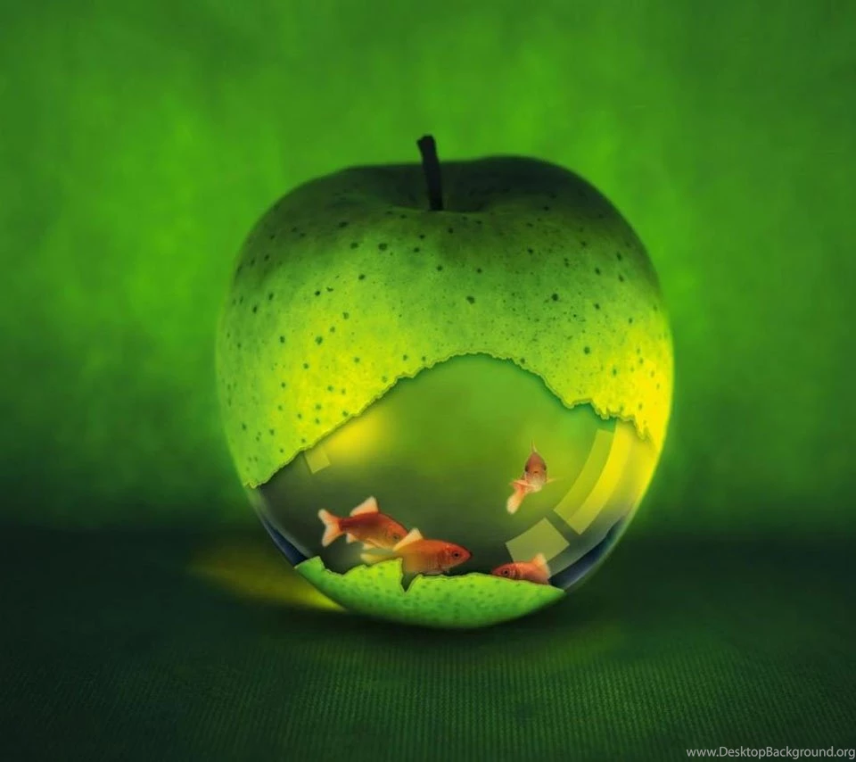 Free Wallpapers For Android   Wallpapers Zone