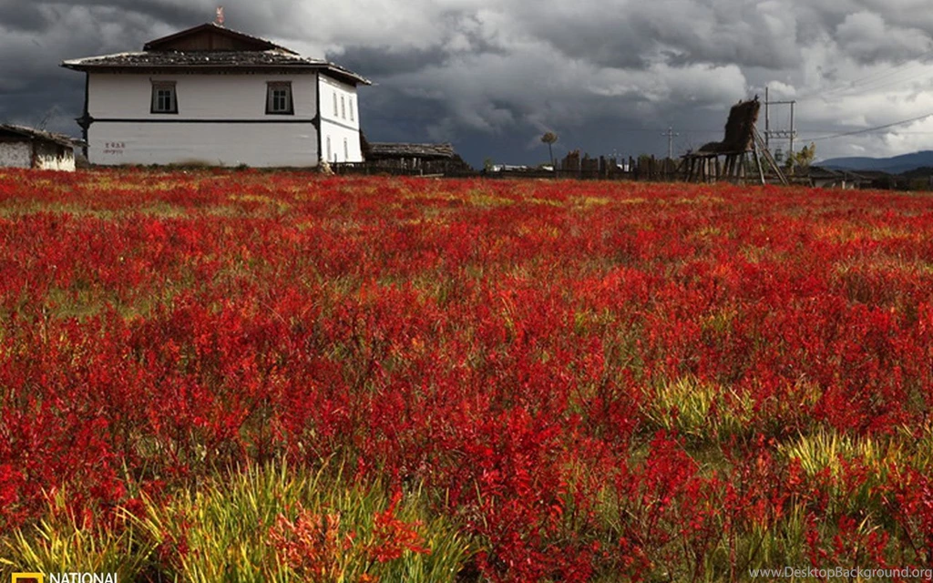 Tibetan Story Wallpapers - Landscape Wallpapers Free Download ...