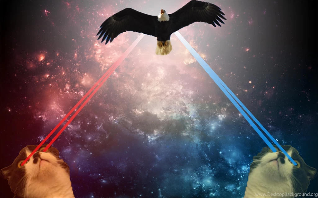 My+self+made+wallpaper+this+was+my+tribute+to+murica_f01459_4740581.png
