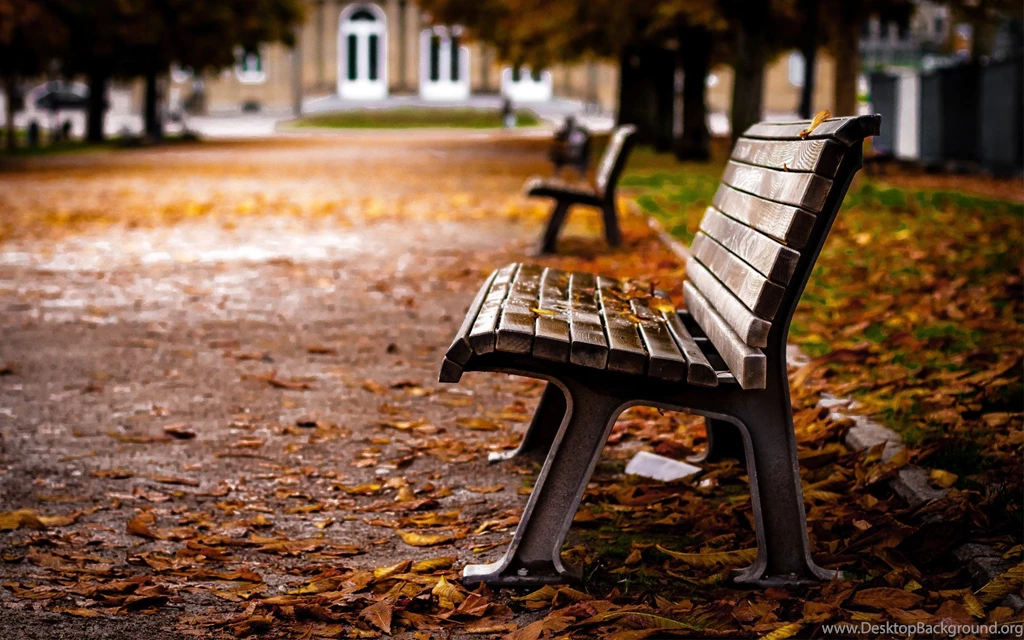 Lovely Park Bench HD Wallpapers
