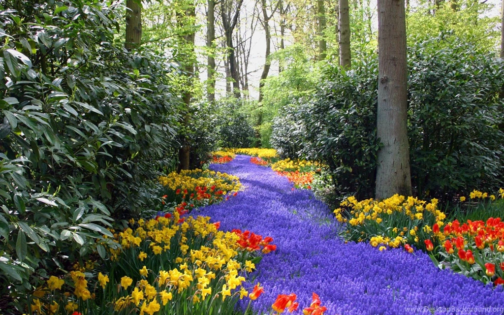 HD Park Wallpapers And Photos