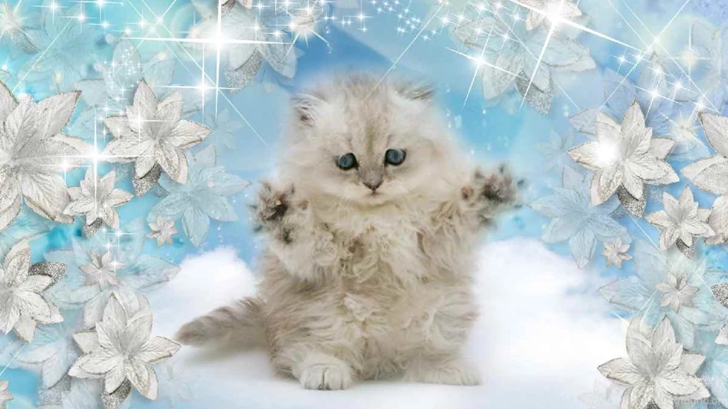 Free Christmas Wallpapers With Cats