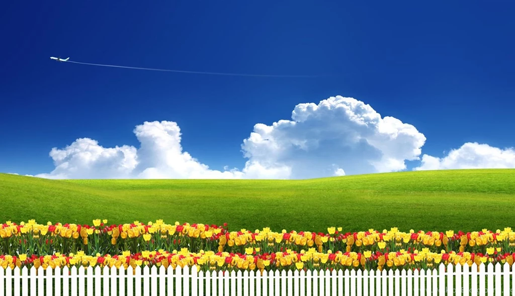Wallpapers Abstract Best Full Hd Free Wallpapres Totally High ...
