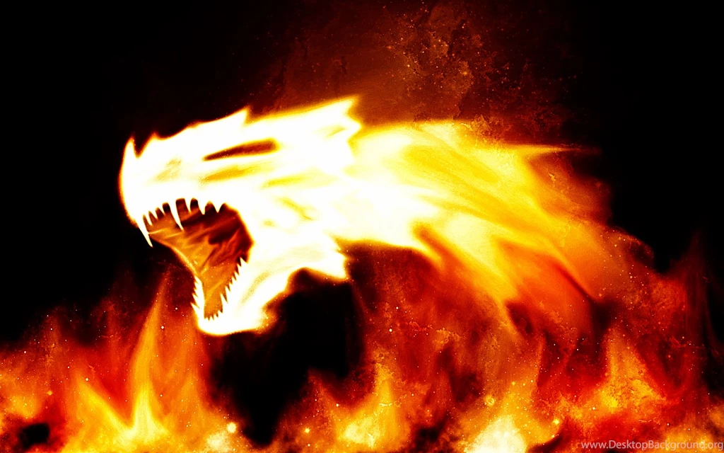 3d Wallpapers Hd Fire Animals For Desktop Backgrounds 13 Hd ...