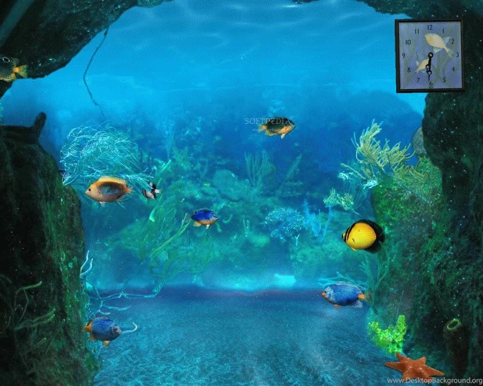 Computer Screen Wallpapers Hd