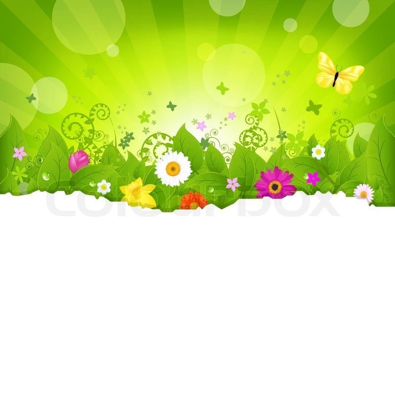 Nature Backgrounds With Flowers, Isolated On White Backgrounds ...