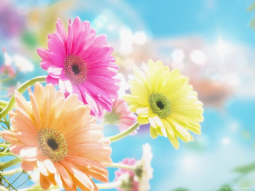 Quotes Desktop Backgrounds Wallpapers : Quotes Wallpapers ...