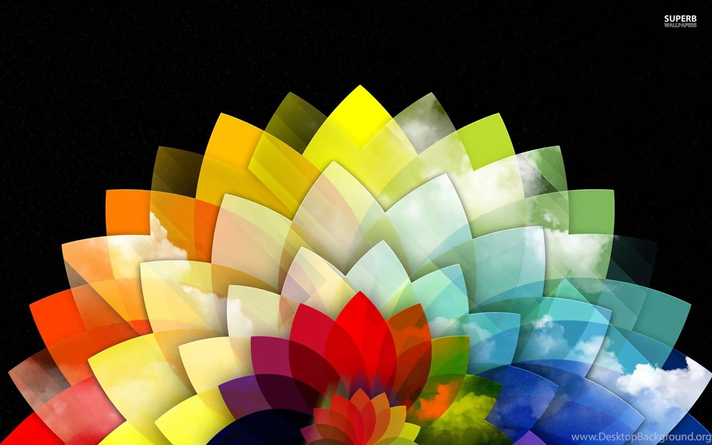Colorful Flower Free Wallpaper Images