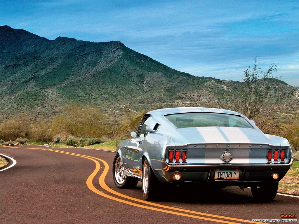 21 Ford Mustang Boss 302 HD Wallpapers