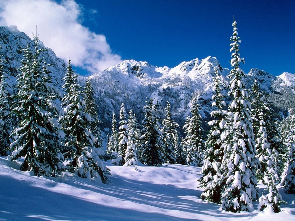 Cold Wallpapers