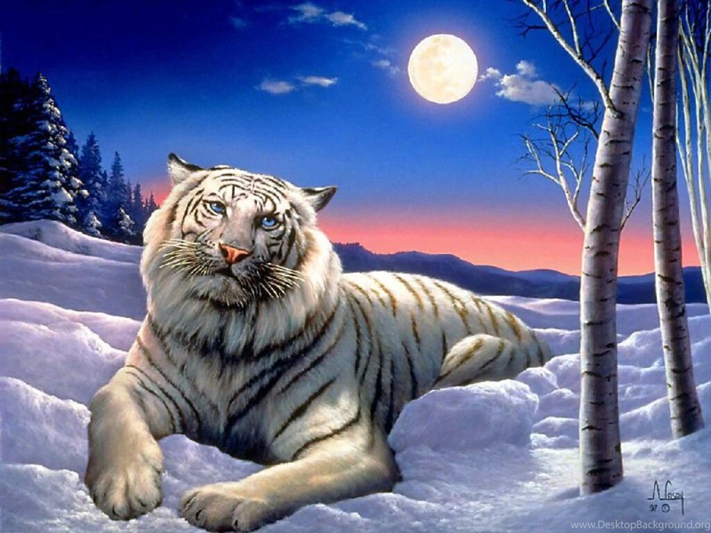 Fantasy Tiger 8 73708 HD Wallpapers