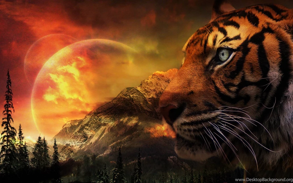 Fantasy Photo Gallery