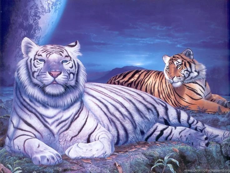 Desktop Backgrounds > 3D Graphics > Tigers