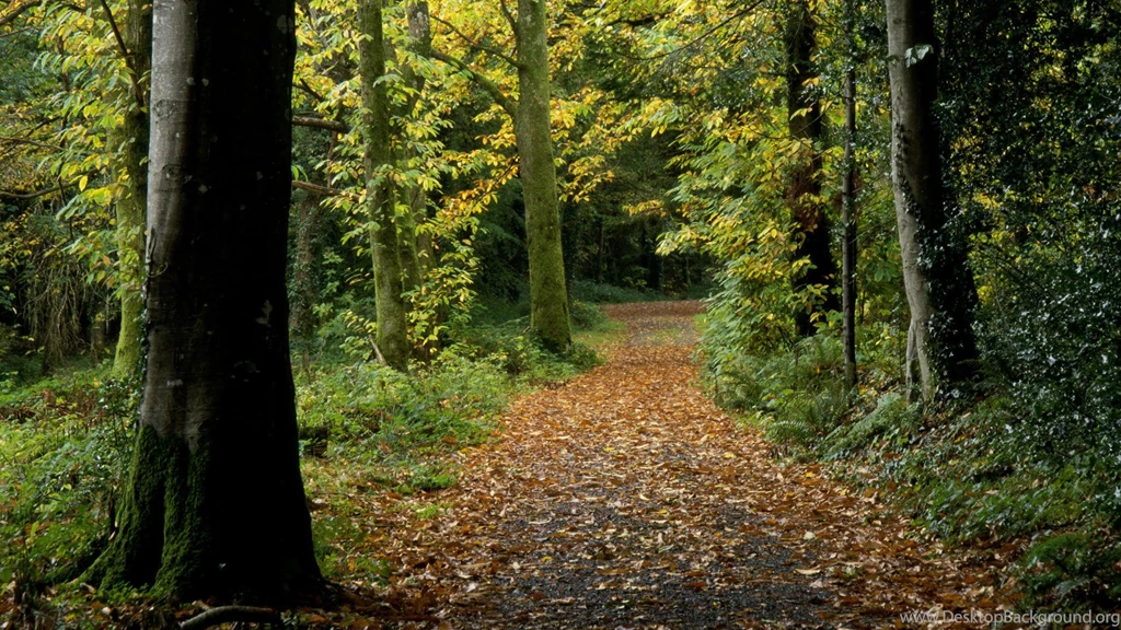 Wallpapers Ireland Peaceful Path And Stock Photos 1920x1080 ...