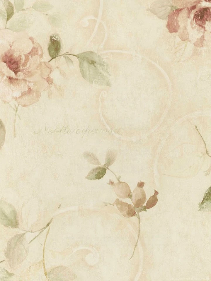 Ivory Rose Floral Scroll Wallpapers By Seabrook