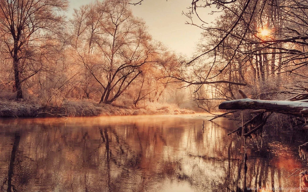 Old Trees And A River In The Autumn Time Wallpapers By MariJane ...