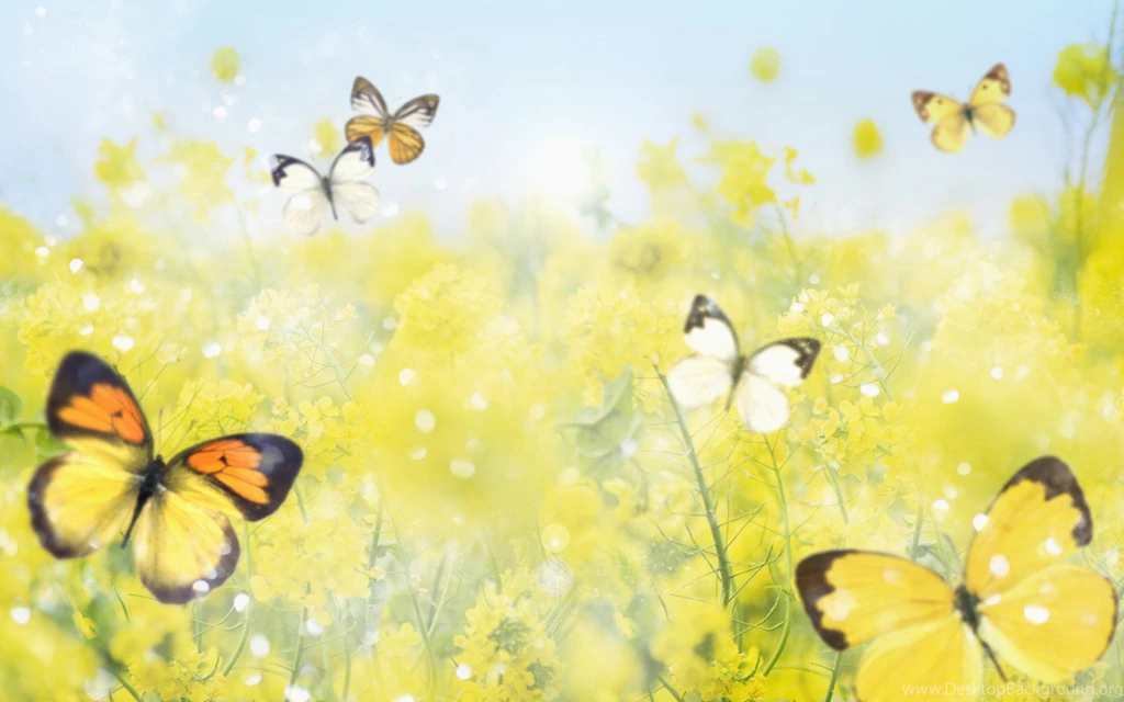 Windows, Themes, Desktop, Butterfly, Background, Wallpapers (