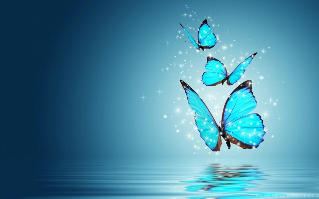 Butterfly Backgrounds Wallpapers HD Of Colorful Butterflies