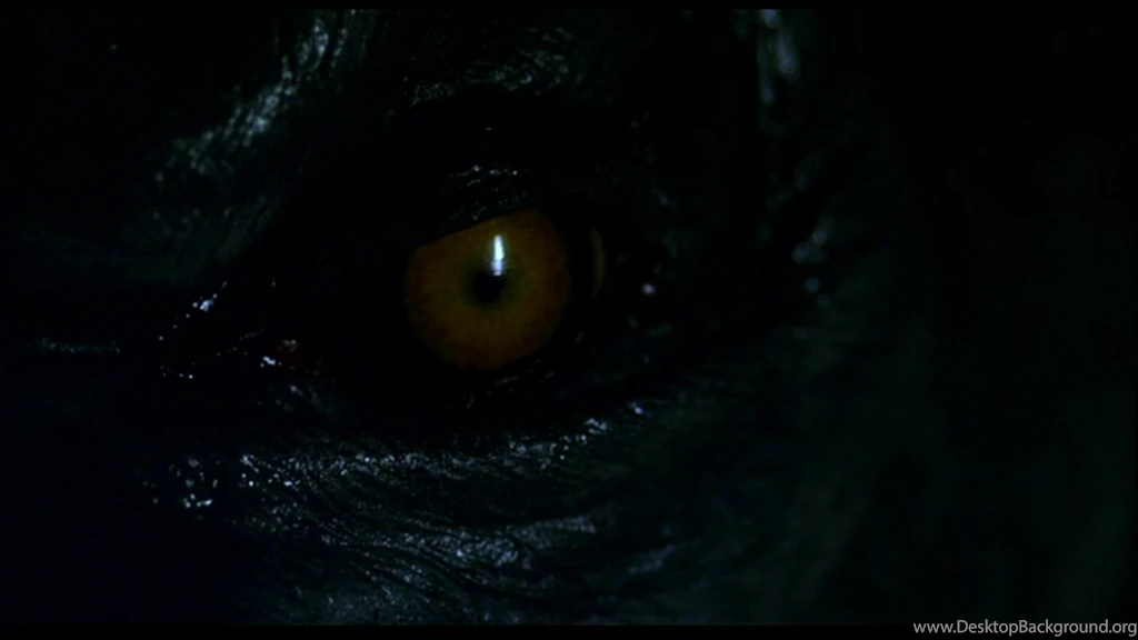 2 Werewolf The Beast Among Us HD Wallpapers