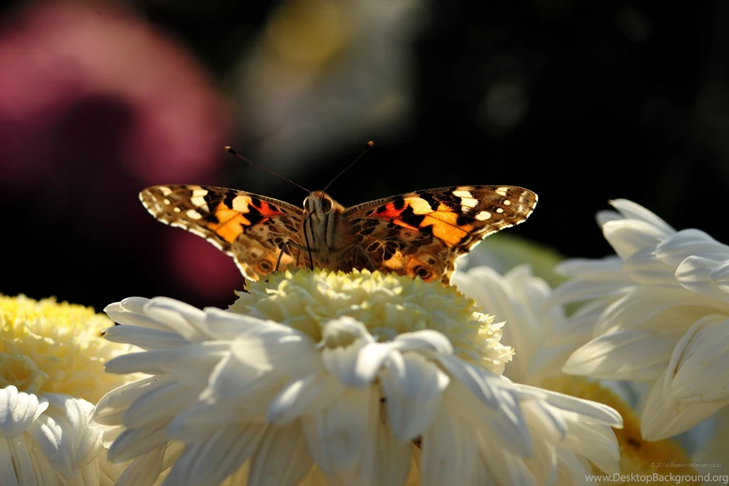 2160x1440 Wallpapers Crimea. My Free Wallpapers