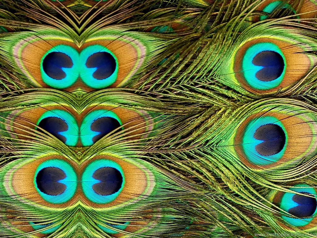 Nook HD Wallpapers   Wallpapers Zone