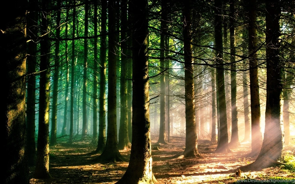 Download Macbook Nature Wallpapers High Quality Resolution