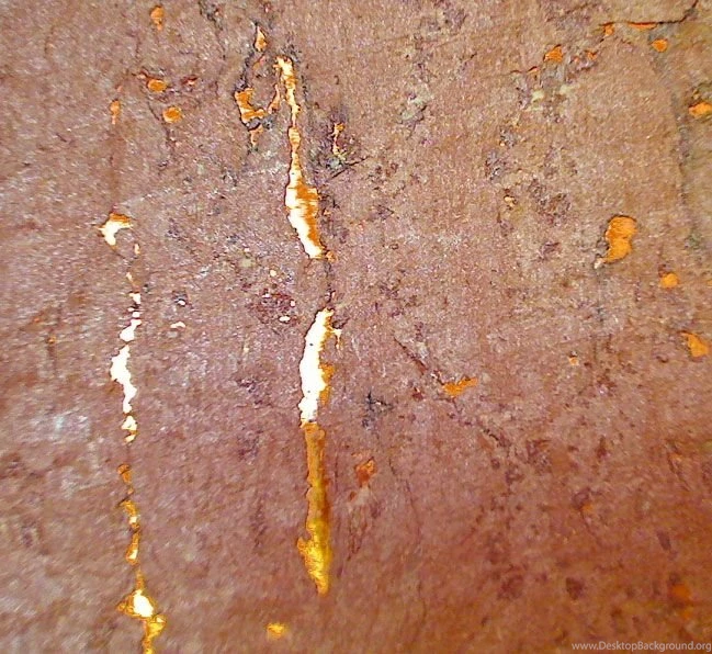 Claudia's Real Cork Wallpapers Copper On Shiny Copper Orange ...