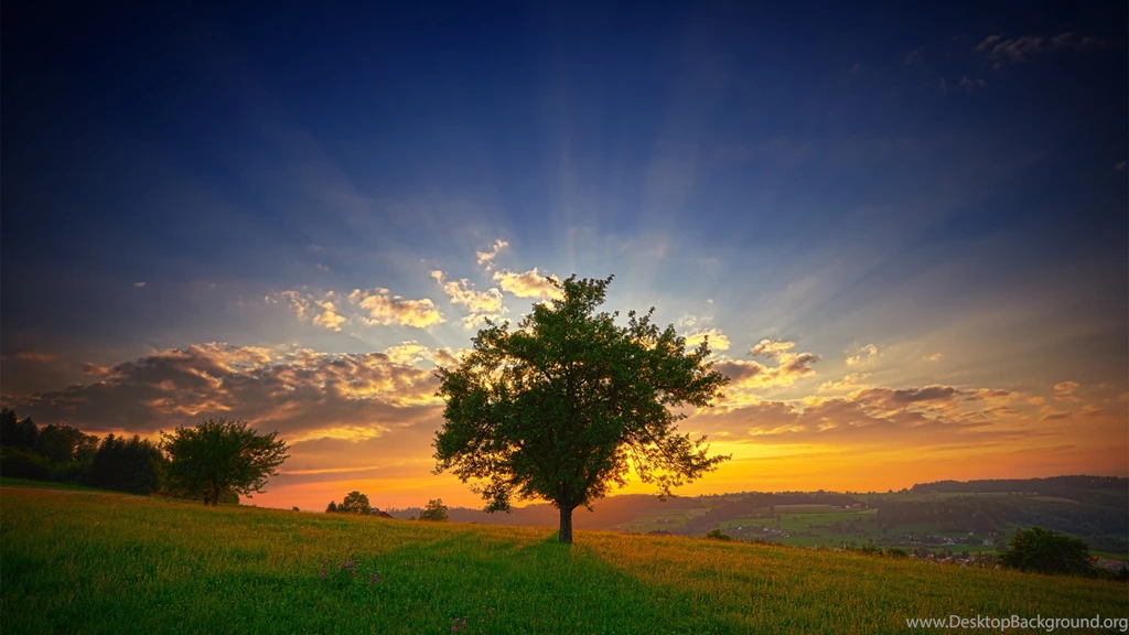 Scenic Pictures