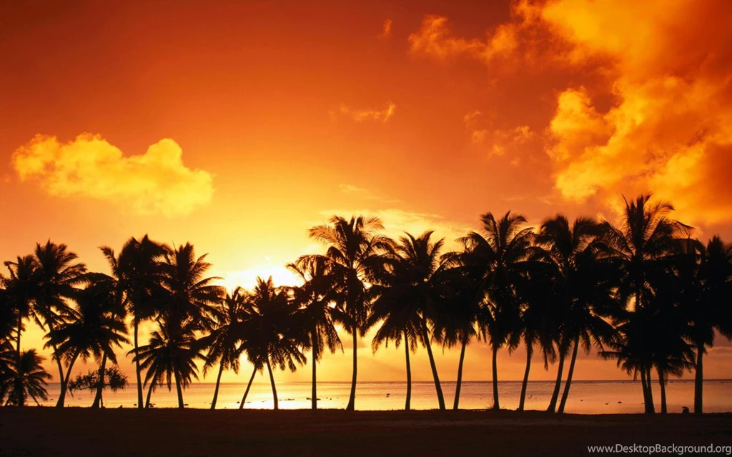 30 HD Tropical Beach Backgrounds