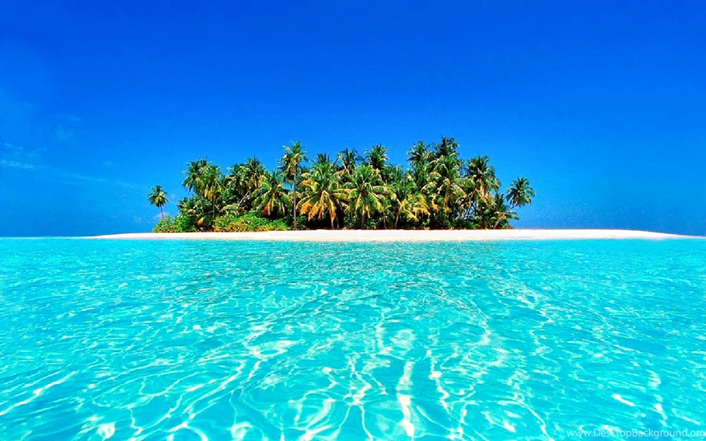 20+ Tropical Backgrounds, Wallpapers, Images