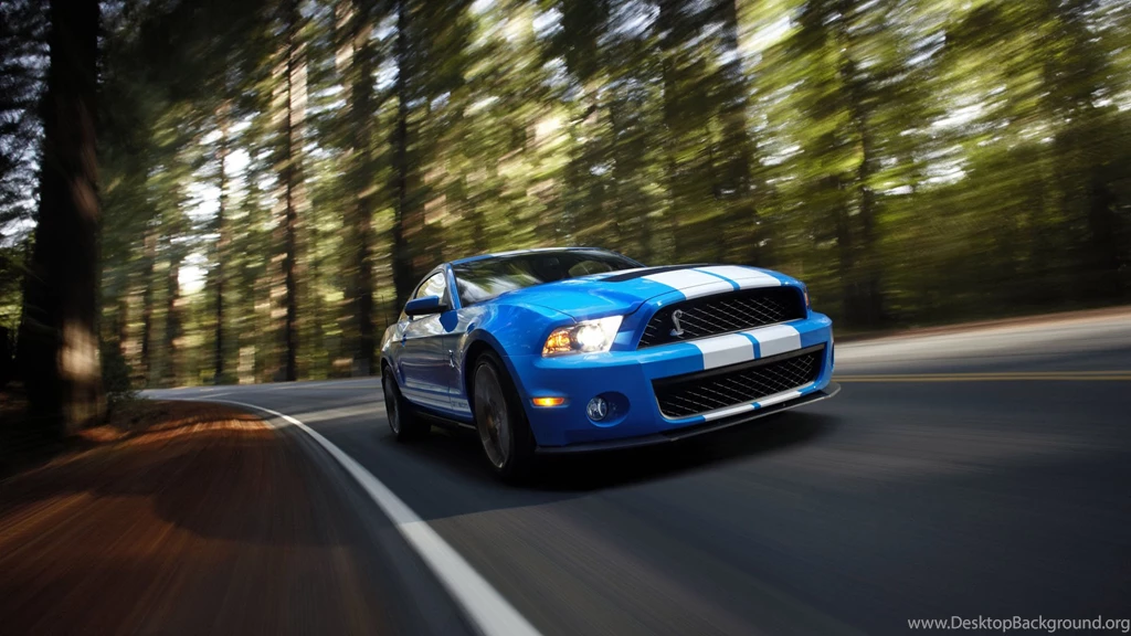 Ford Mustang Shelby GT500 Profile Car