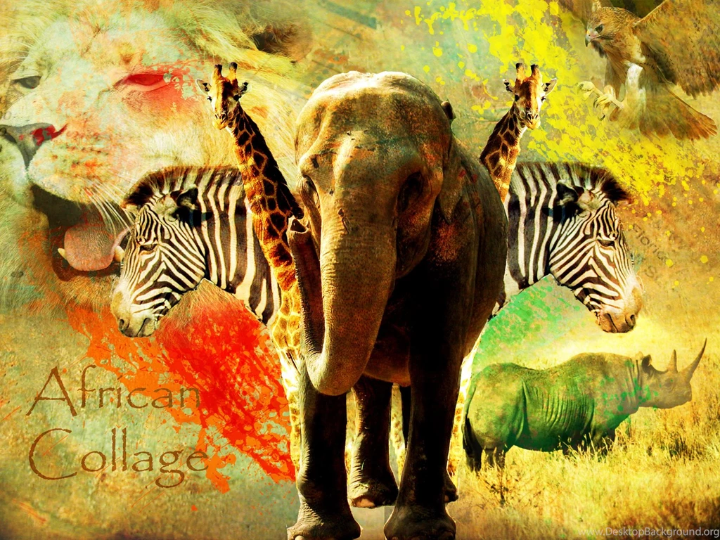 African Collage By Yoshi747 On DeviantArt