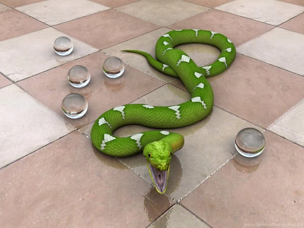 Desktop Wallpapers · Gallery · 3D Art · Snake 3d Wallpapers