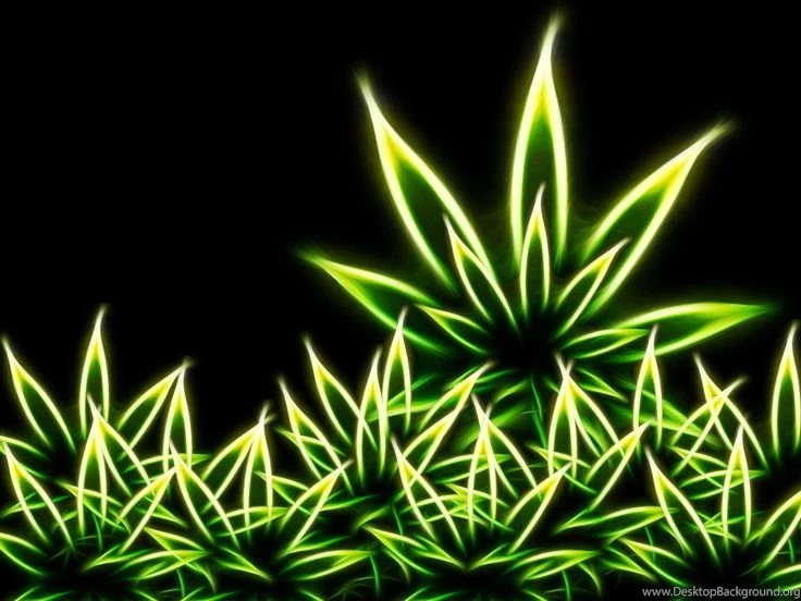 Ganja On Pinterest