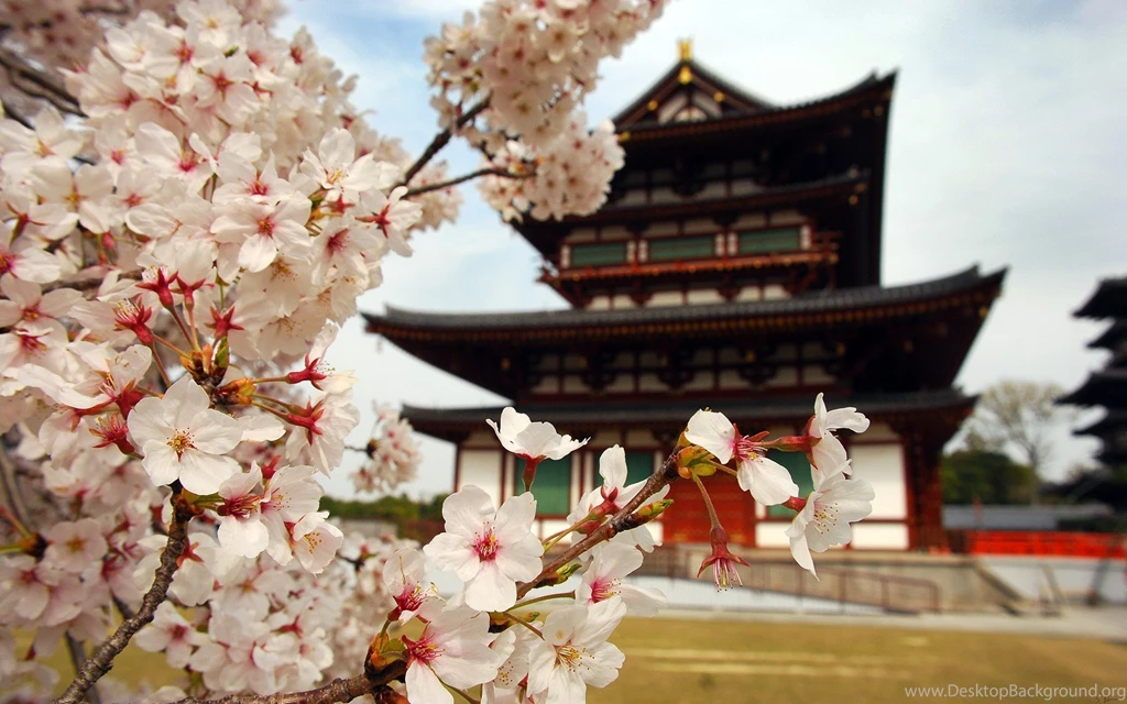 Blossoms, Japan, Asia, Temples :: Wallpapers