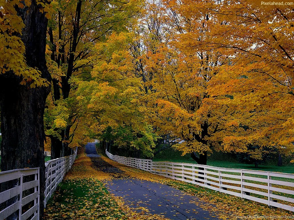 fall wallpapers free 1024 768 high definition wallpapers
