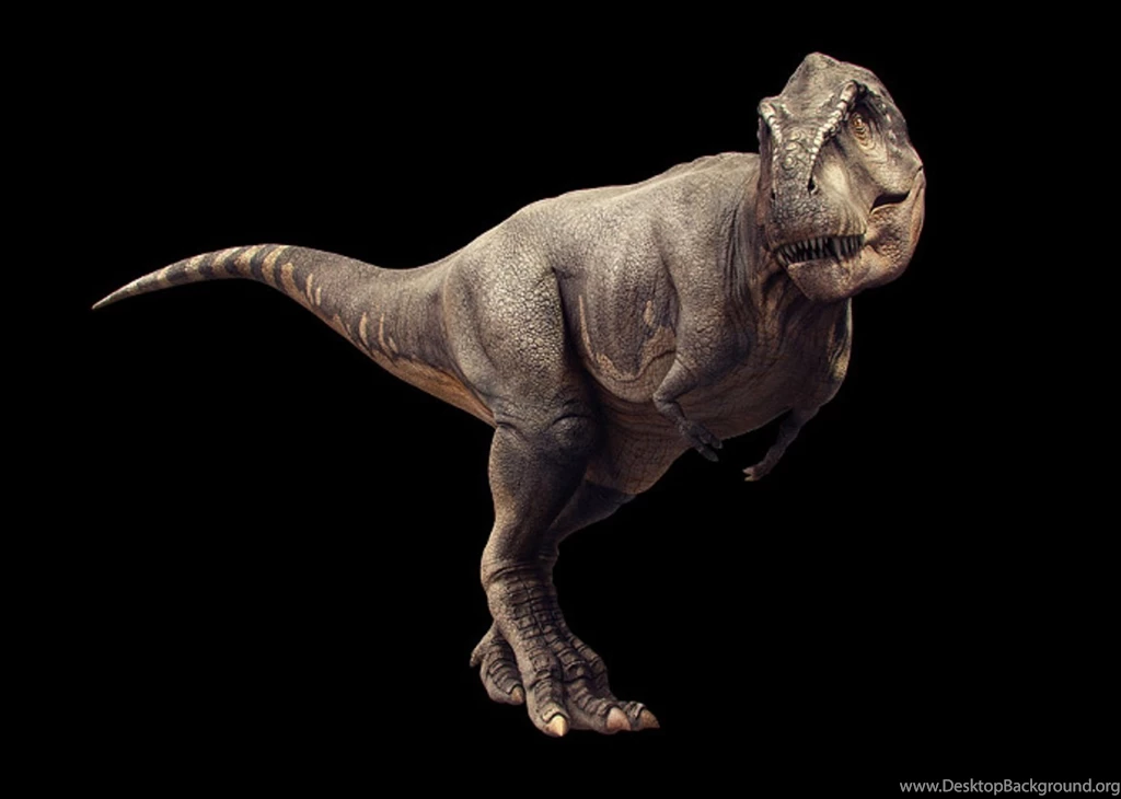 T Rex Wallpapers Pack, By Michelle Clark, June 27, 2015