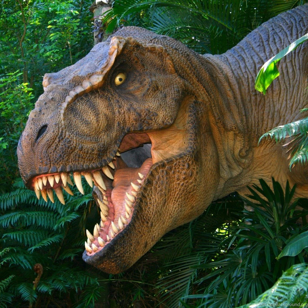 Wallpapers Dinosaur, T rex, Park, Face, Teeth Wallpapers Animals ...