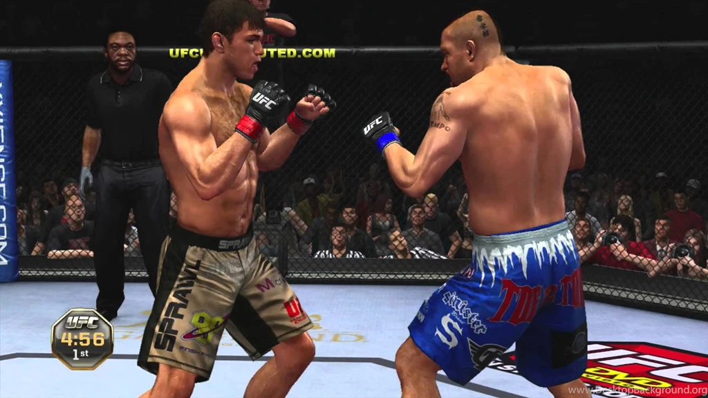 Forrest Griffin VS Chuck Liddell YouTube