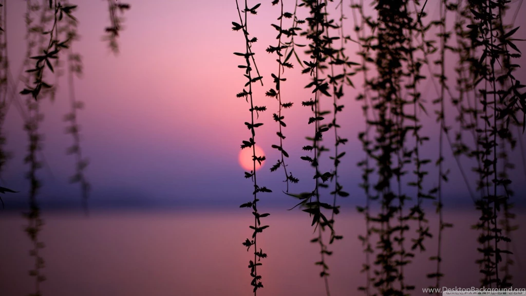 Beautiful Sunset HD Desktop Wallpapers : High Definition ...