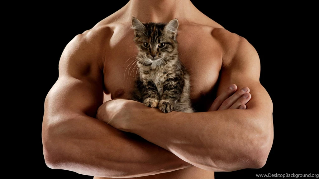 Hot Guys With Cats — Two Obsessions In One