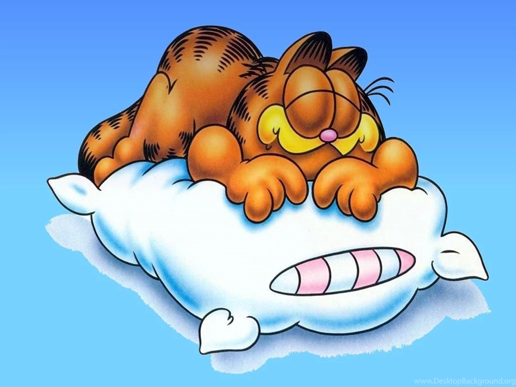 Garfield Movie Cartoon Backgrounds For Android Cartoons Wallpapers