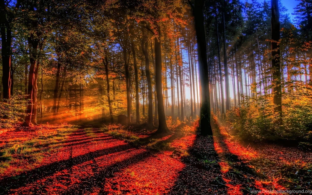 Colorful Autumn Scene Wallpapers 1920x1200 (