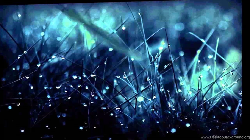 Top 5 Wallpapers For Desktop YouTube